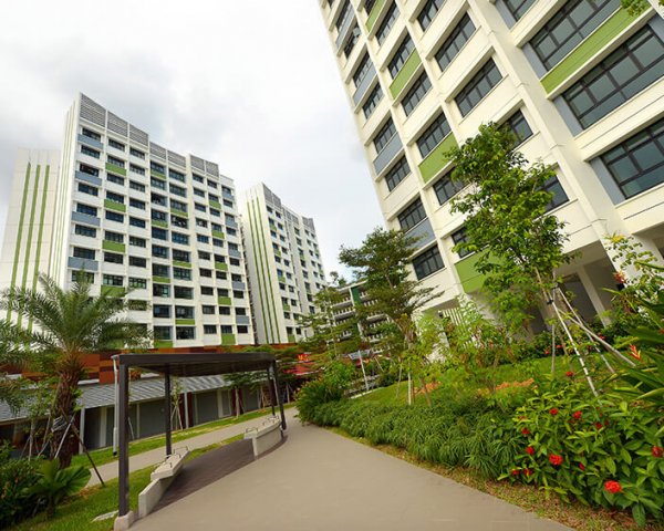 angsana6_800x565